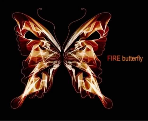 Fire butterfly on black background