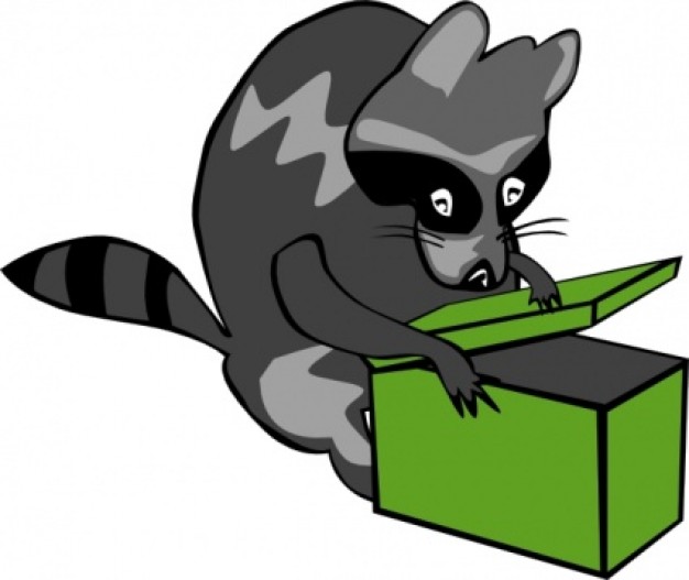 raccoon opening box clip art