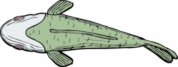 fish top view clip art