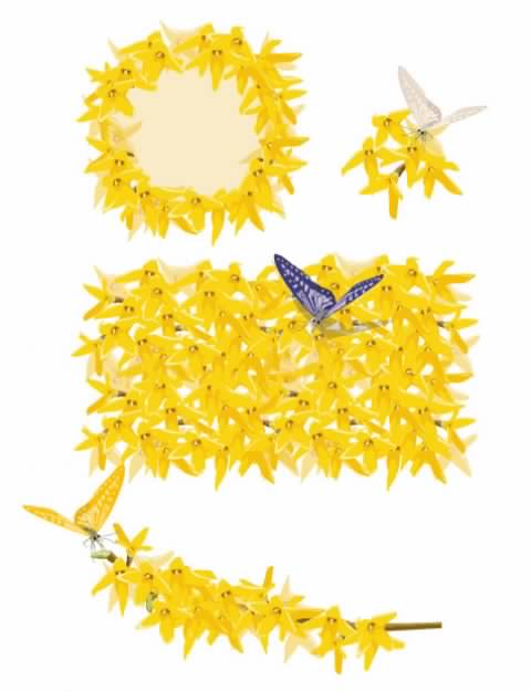 Golden yellow flowers and butterfly Vector material