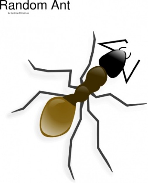 Ant clip art in top view