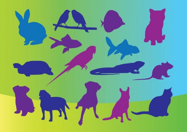 Pets Silhouettes with colorful background