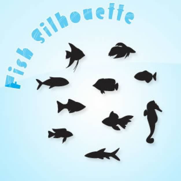 Fish Silhouette with blue background