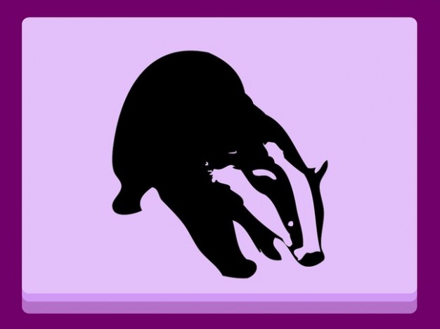 Badger animal outlines in pink frame vector silhouette