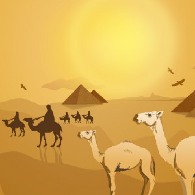 Egyptian Desert Landscape with pyramid camel