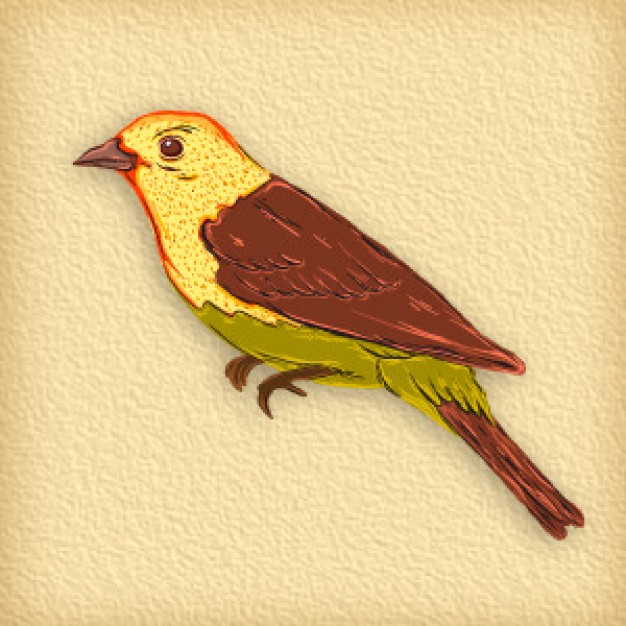 beautiful bird side view vector with earth background