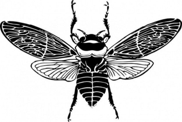 bee clip art in top view