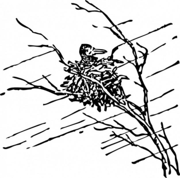 bird in net waiting out the storm clip art