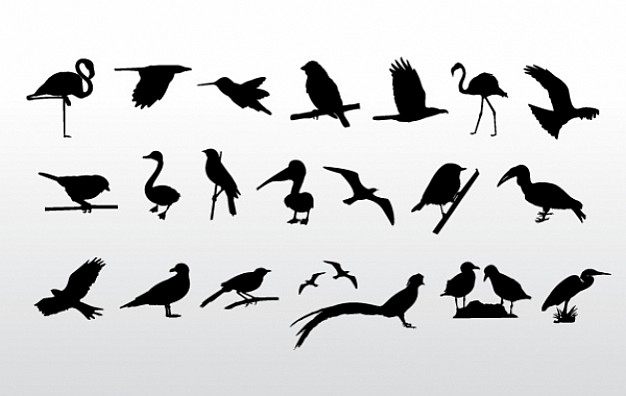 Birds Collection with gray background like crane sparrow crow duck