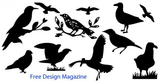 Birds sitting flying hunting Silhouette Free Vector