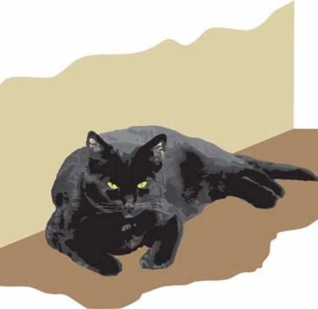black Cat lying at the corner