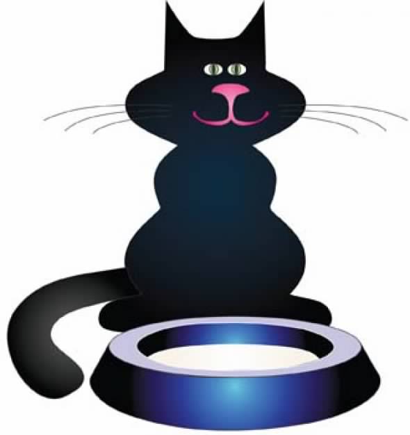 black Cat sitting before blue plate