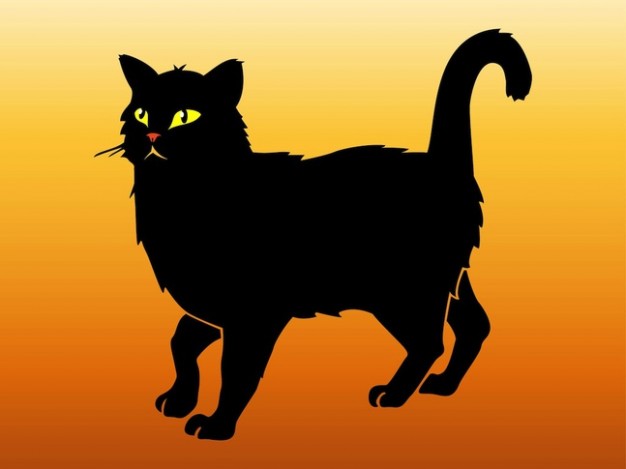 Black cat walking animal sticker with orange background