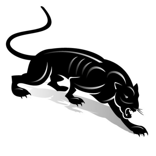 Black panther fighting with simple lines on white background