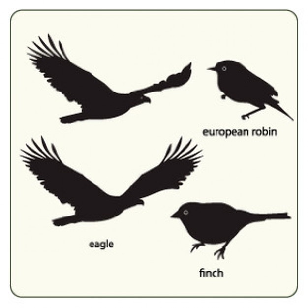 black sparrow birds silhouette vector