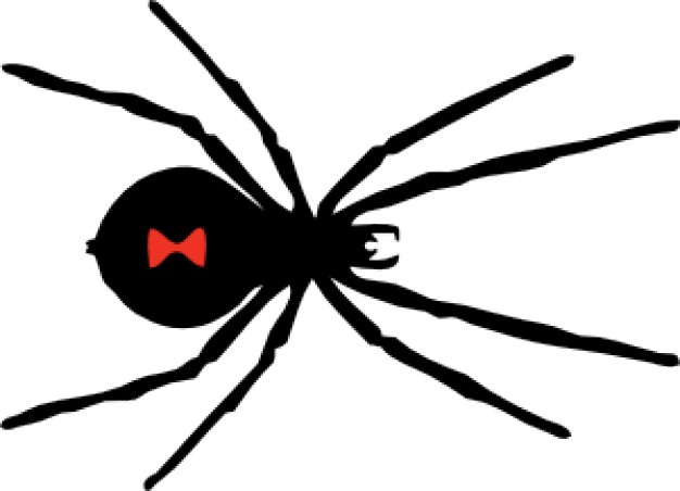 black Spider of Halloween Vectors in top view