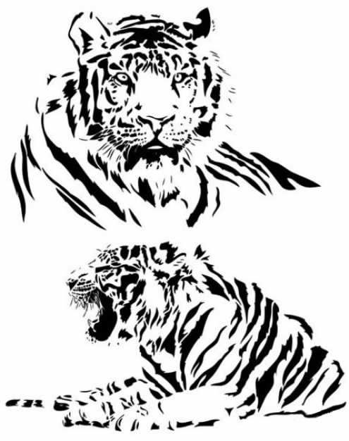 Both black and white tiger vector in front view and side view