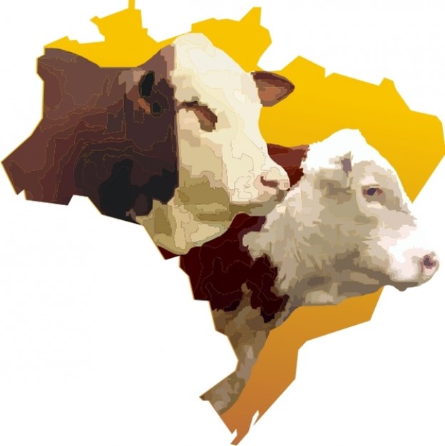 brazil map white bulls heads over yellow background