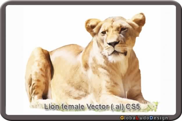 brown female lion vector in the frame