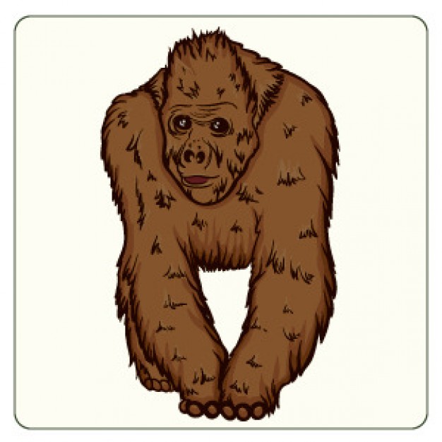 brown orangutan front view freehand drawing vector