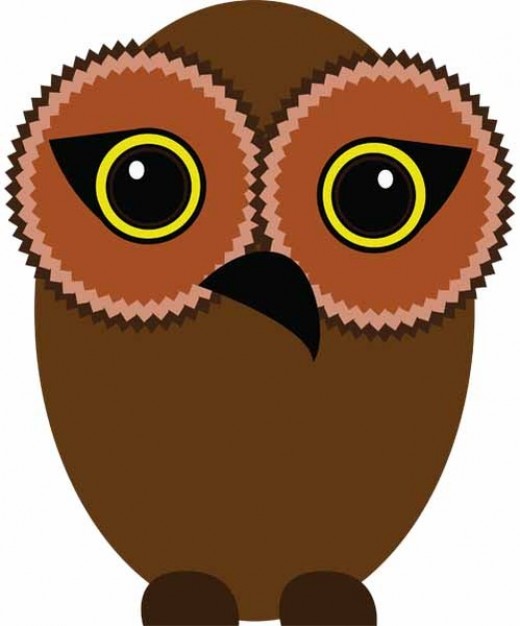 brown owl with big eyes in front view