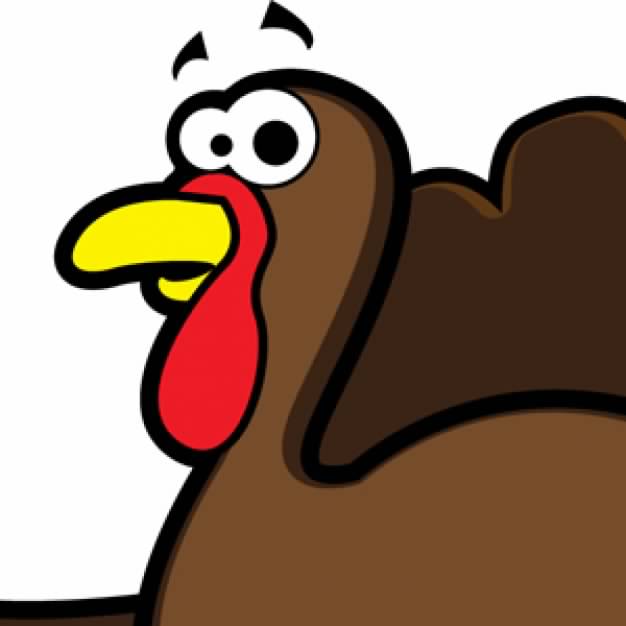 brown Turkey head in side view