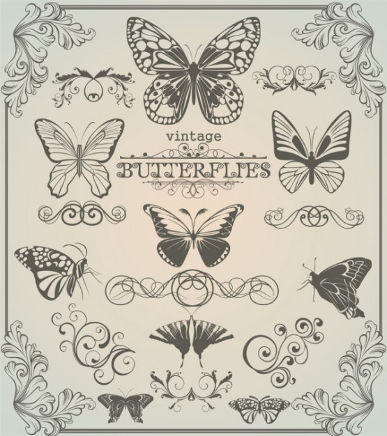 Butterfly patterns  vector in vintage style