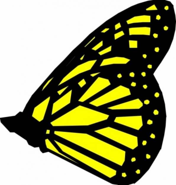 butterfly side view in yellow and black