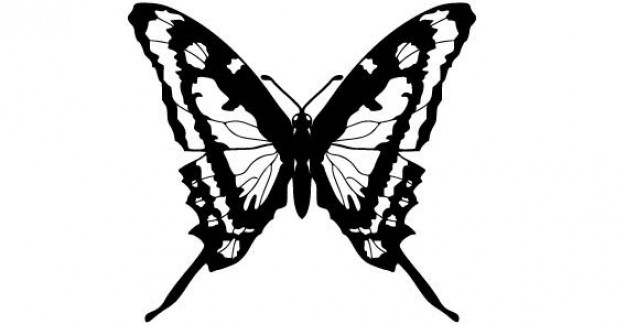 Butterfly top view free vector in top view