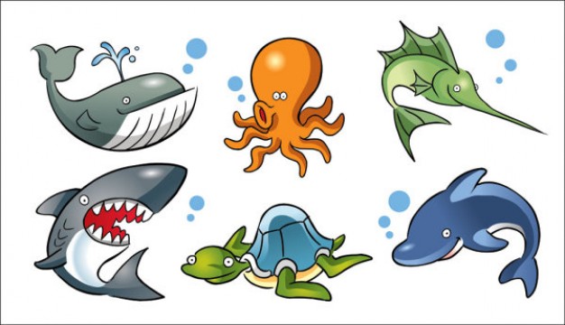 Cartoon animals like whale shark dolphin sea animal