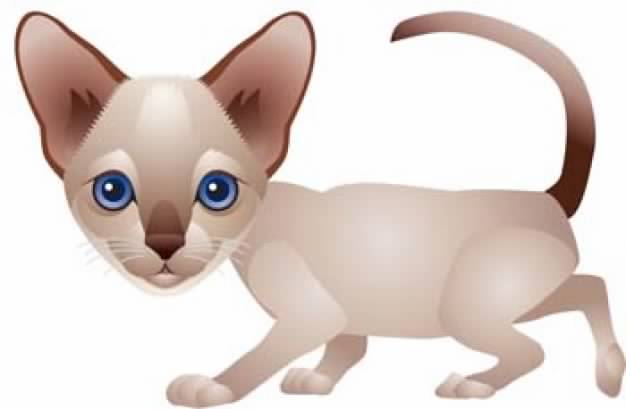 Cat clip art like dog walking in side view