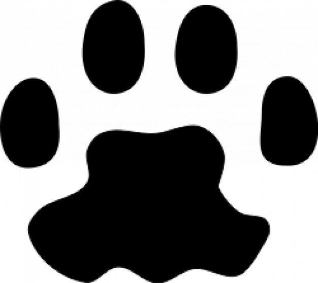 Cat paw print close-up clipart