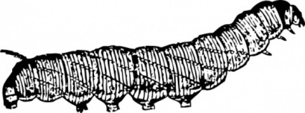 caterpillar crawling in side view clip art