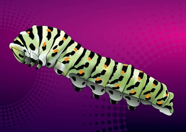 Caterpillar side view on purple background