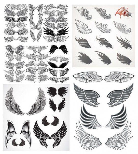 a variety of wings totem material