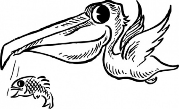 Pelican hunting Fish doodle clip art