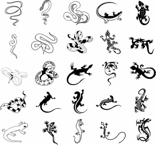 clip art Vector molluscs like snake gecko lizard