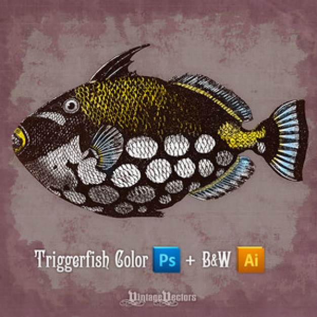 Clown Triggerfish swimming over vintage background