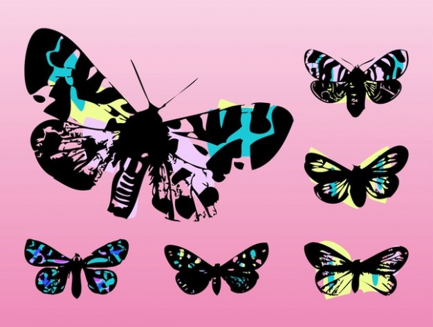 Colorful butterflies flying pop art with pink background