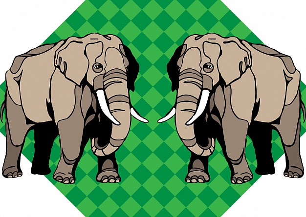 couple elephants with green grids background