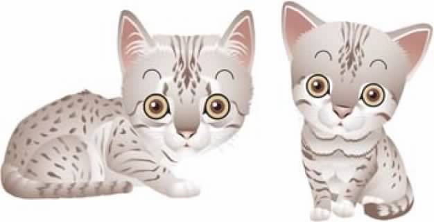 couple of cute Cat vector in front view