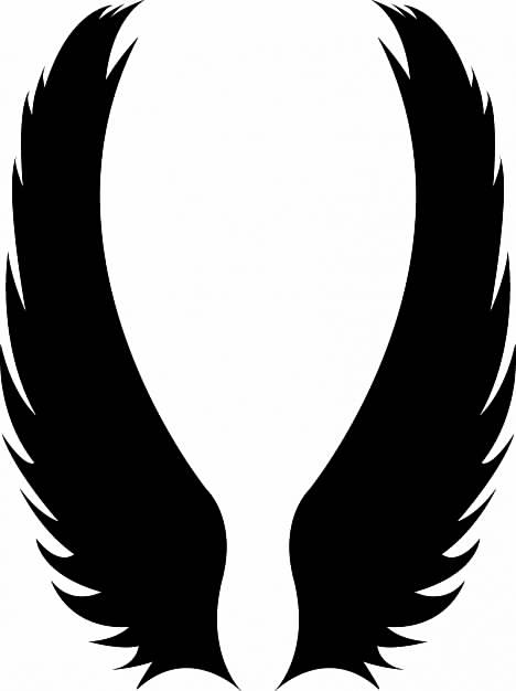 couple of wings in black