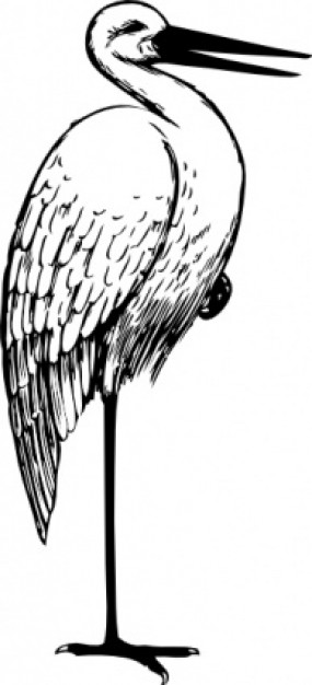 crane bird side view standing one foot clip art