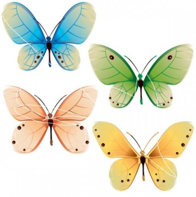 cute beautiful misc butterflies vector nature in green blue yellow pink bright