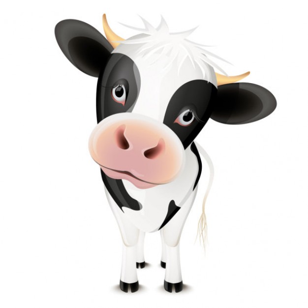 Cute cartoon cow front view vector material