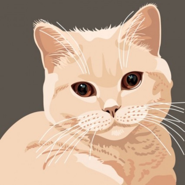Cute cat animal vector over gray background
