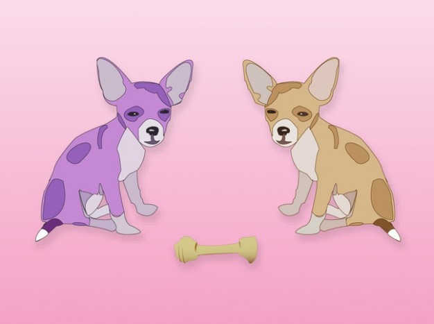 Cute chihuahua dogs comic with bone graphics over pink background