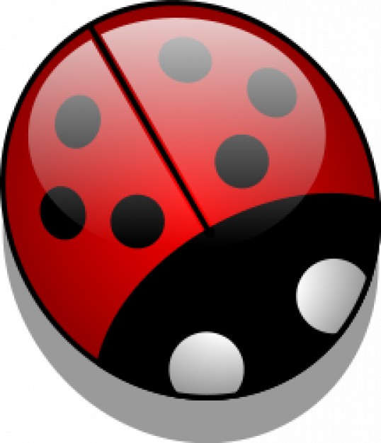 Ladybug with six spots and shadow