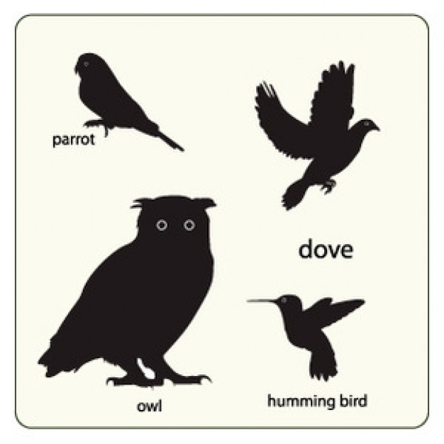 Bird design illustration set including owl sparrow etc