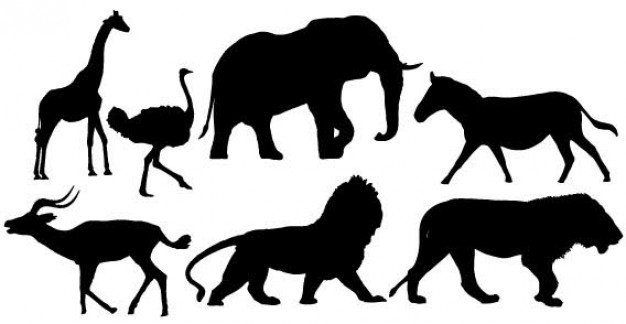forest Animal Silhouettes Free Image